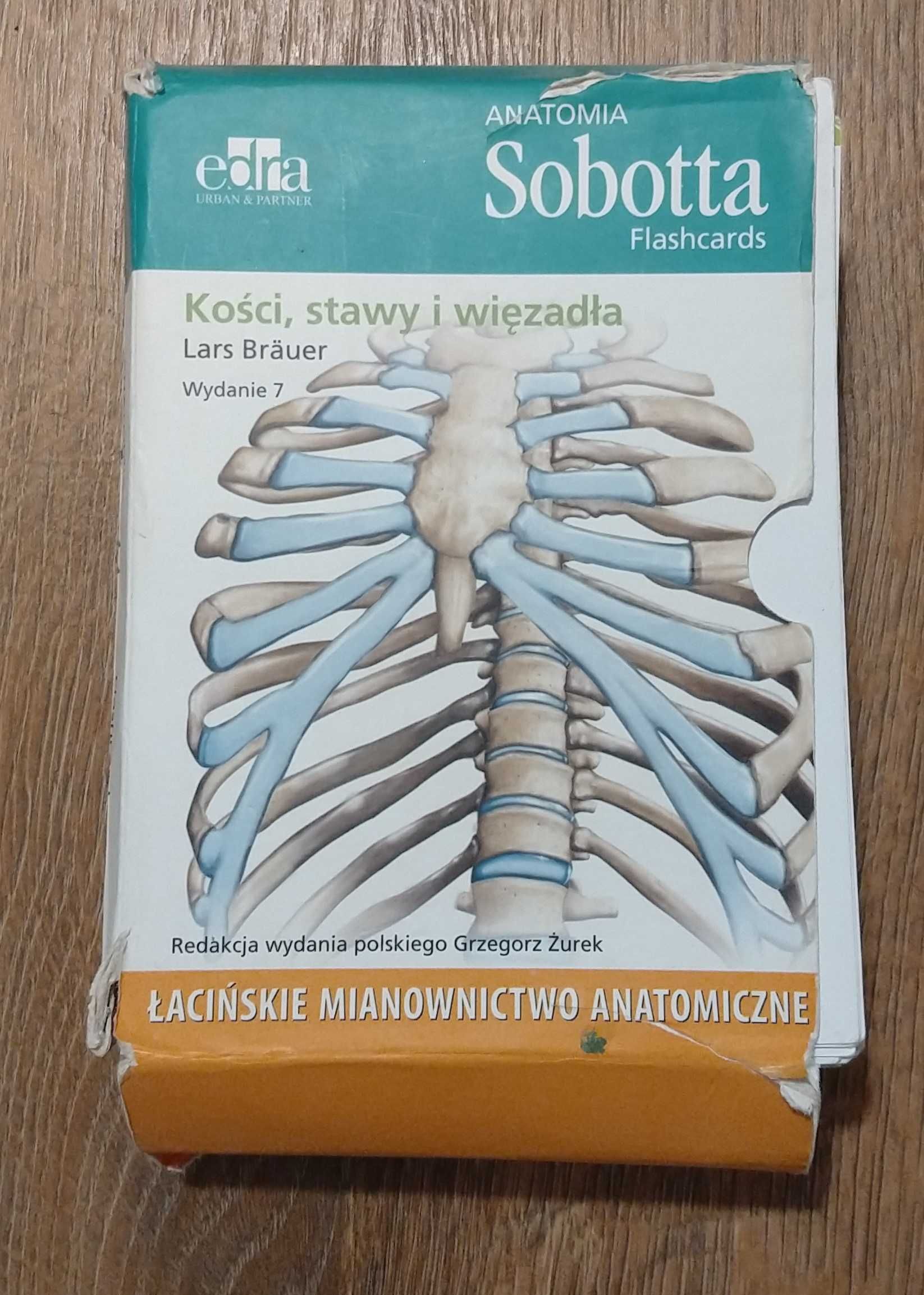 fiszki Sobotta mięśnie, stawy więzadła; neuroanatomia; układ mięśniowy