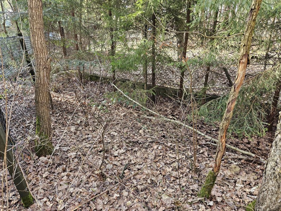 Działka nad zalewem sulejowskim