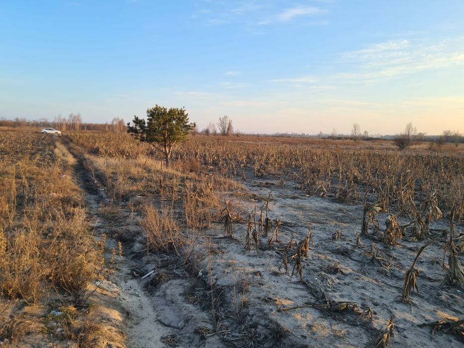 Оренда землі, 2,15га, с.Вища Дубечня,  під сад, овочі, теплиці, інше