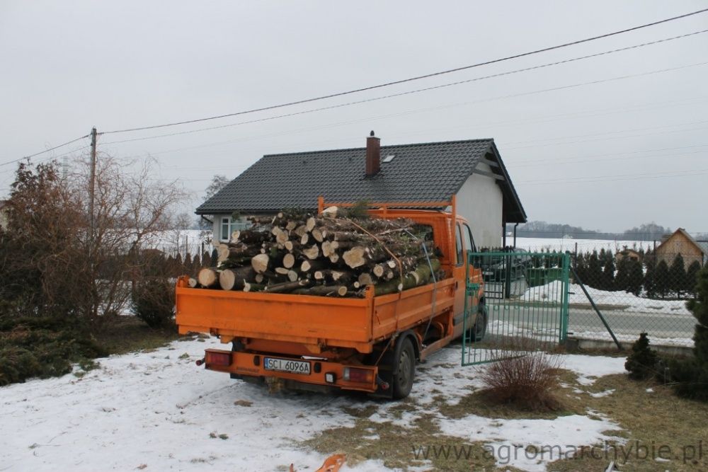 Wycinka drzew samosiejek karczowanie usługi rębak rębakiem zrębkowanie