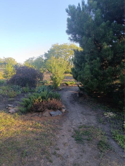 Продам редкий вариант участка в Одинковке, на берегу реки Самара