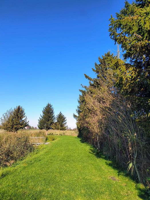 Działka budowlana ze stawem / działka rekreacyjna 2500 m2