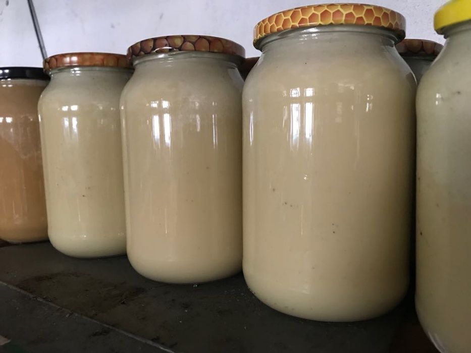 Miód naturalny z własnej pasieki. Różne rodzaje 1,3kg KOSZALIN