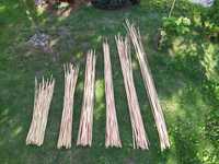 Tyczki bambusowe (komplet 240zł)