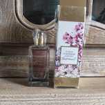 Avon TTA the moment