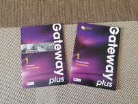 Gateway Plus 1 Teacher's Book Workbook