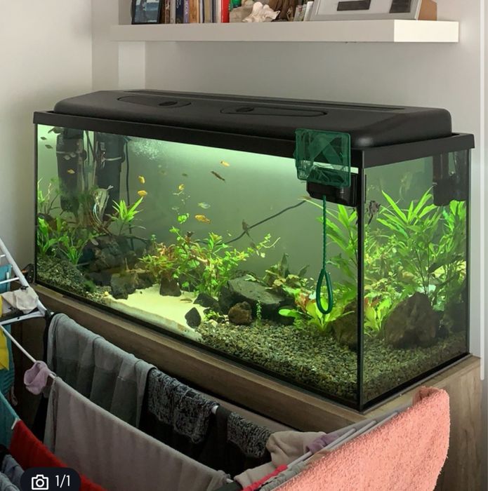 Akwarium 240l + akcesoria