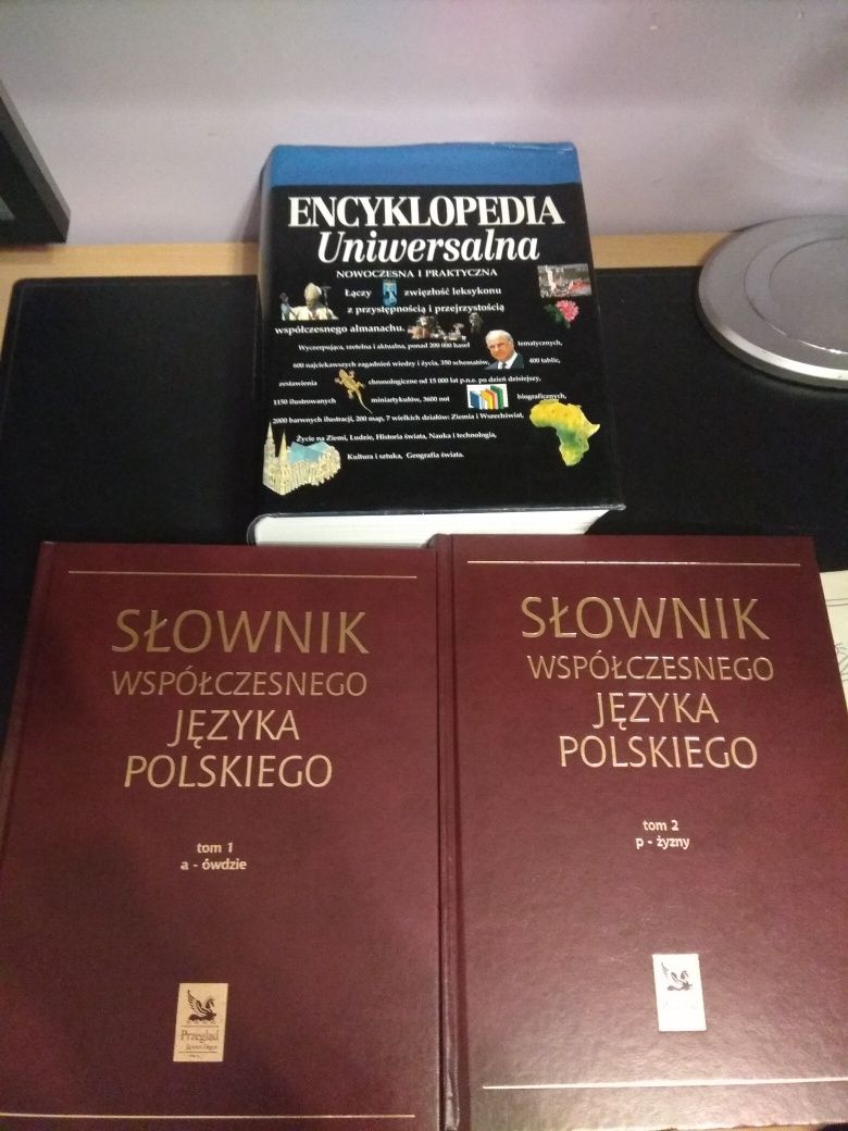 Słowniki współczesnego języka polskiego