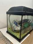 Aquario com tampa