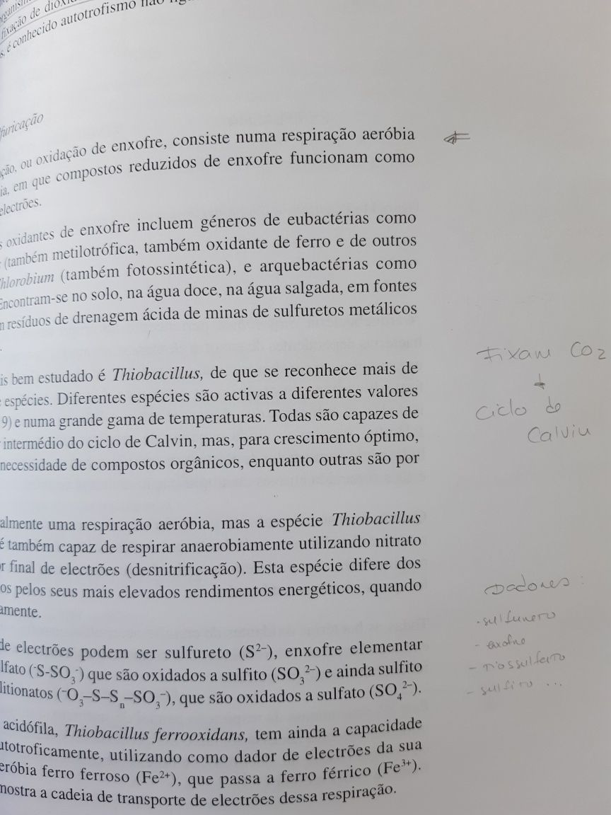 Livro Biologia microbiana