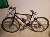 Bicicleta Adulto