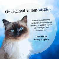 Opieka nad kotem - catsitter (petsitter, hotel)