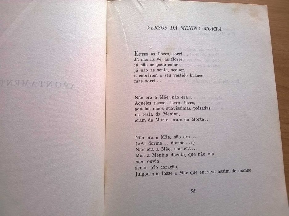 Serra-Mãe - Sebastião da Gama