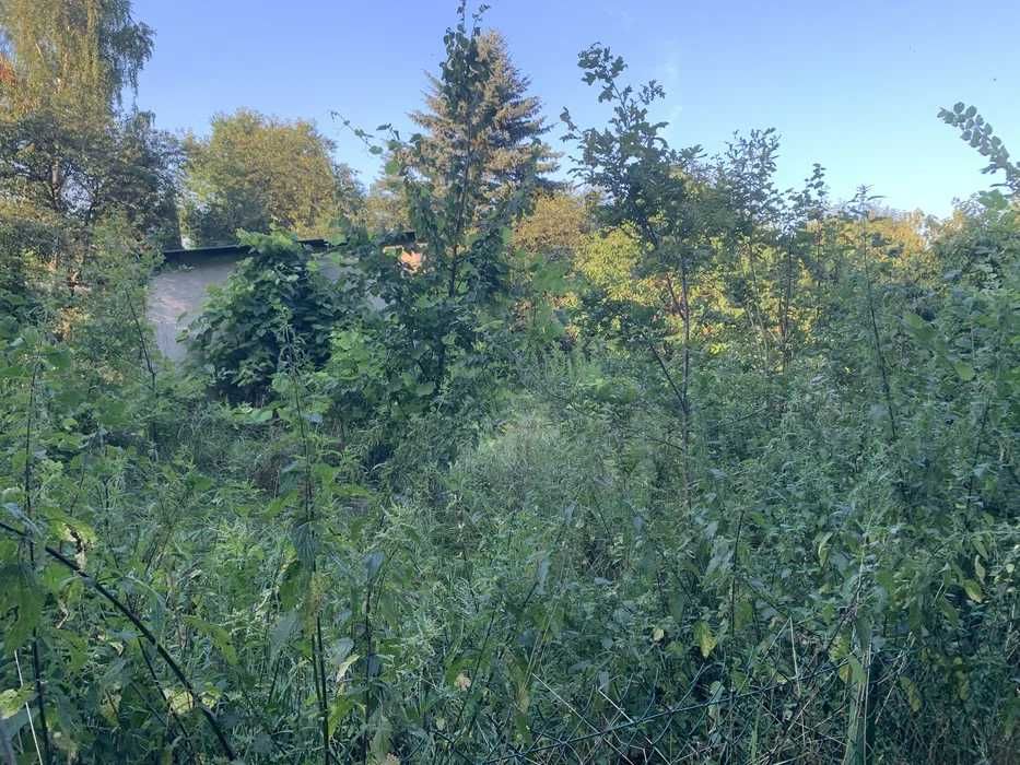 Wycinka drzew, karczowanie, czyszczenie pod budowę lub sprzedaż