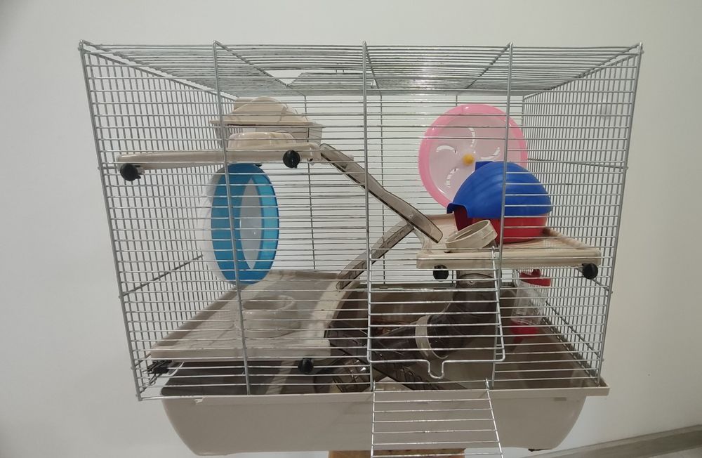 klatka dla gryzonia, chomika