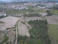 Quinta com casas de habitação.