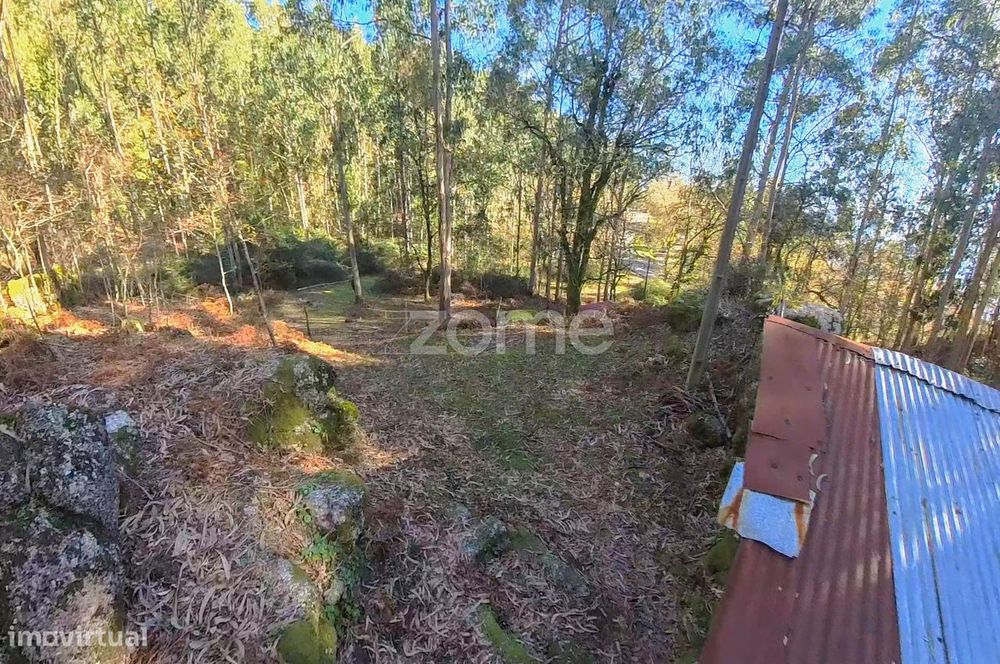 Terreno com Corte de Chão de Castro*