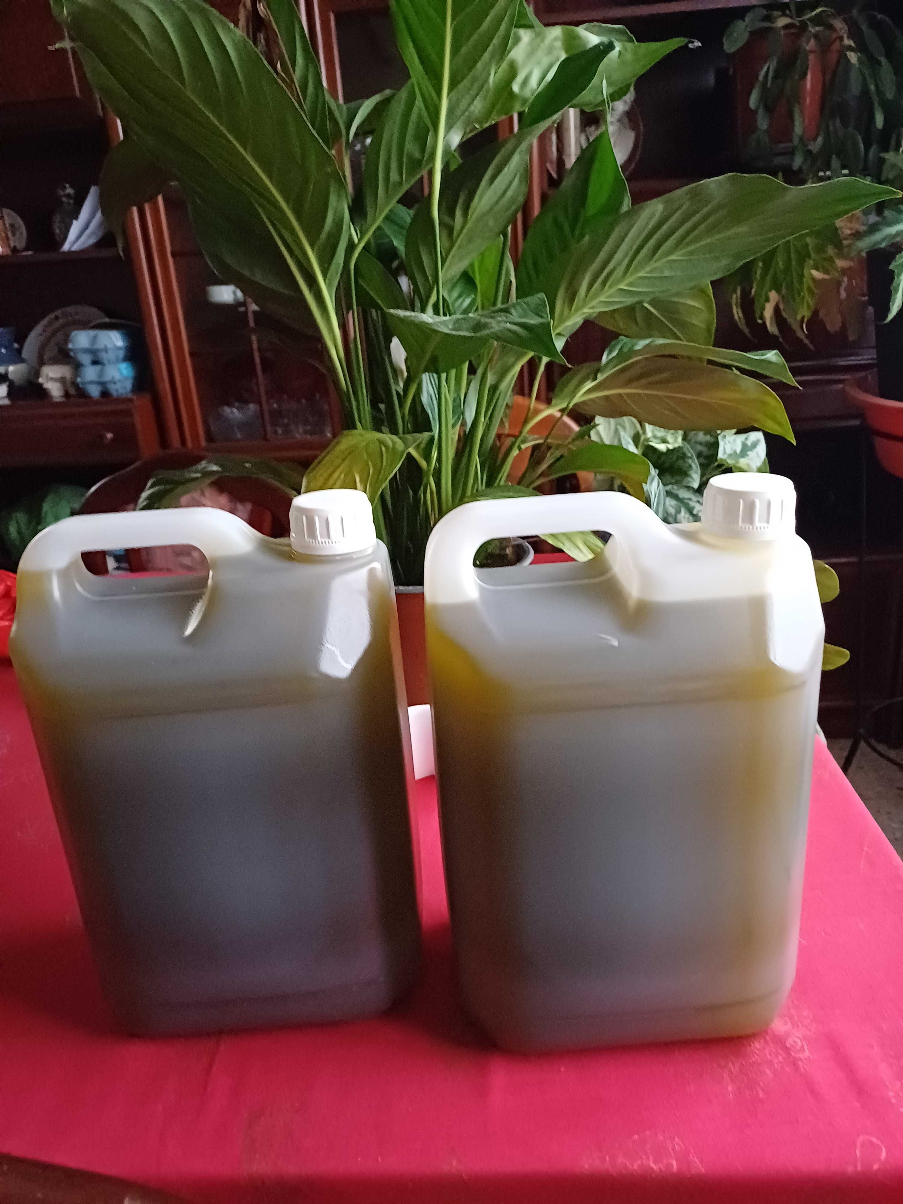 Garrafão de 5 L de Azeite da colheita de 2024