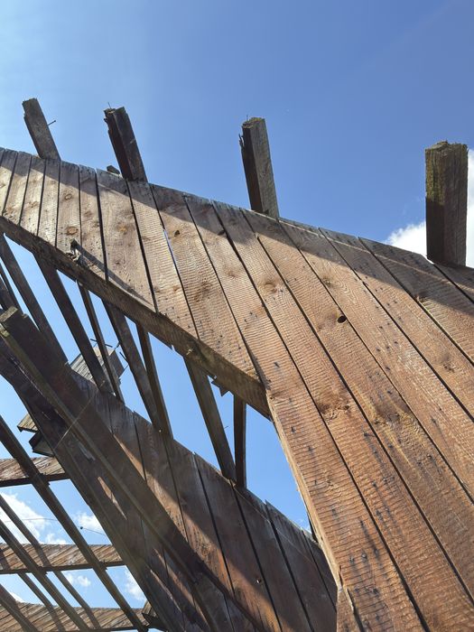 Konstrukcja Hali drewniana