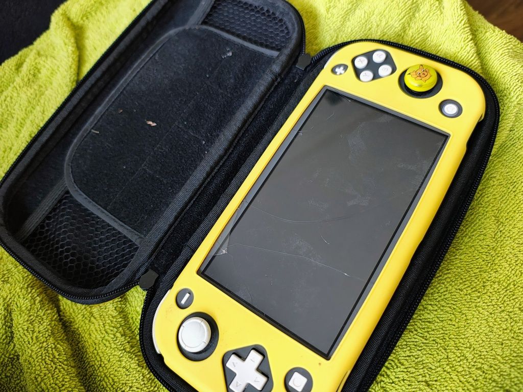 Nintendo switch lite