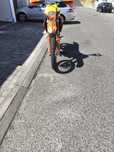 KTM exc-f 250...
