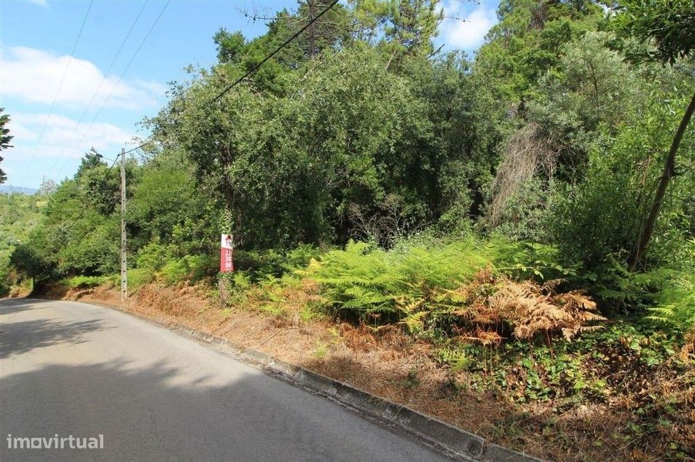 Terreno  Coimbra, Carvalhais