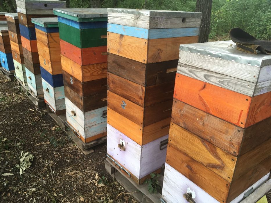 Прополис продам.