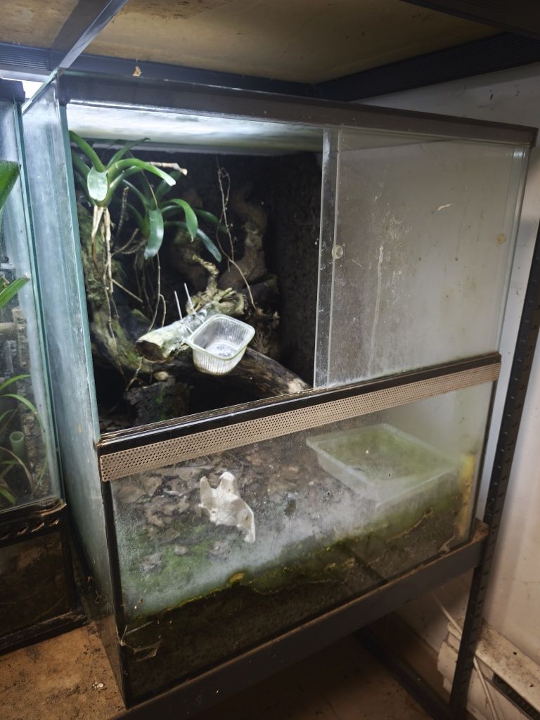 Terrarium 55x60x60 cm.