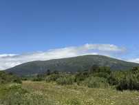 Terreno rústico 39000 m2 junto à Serra do Montejunto