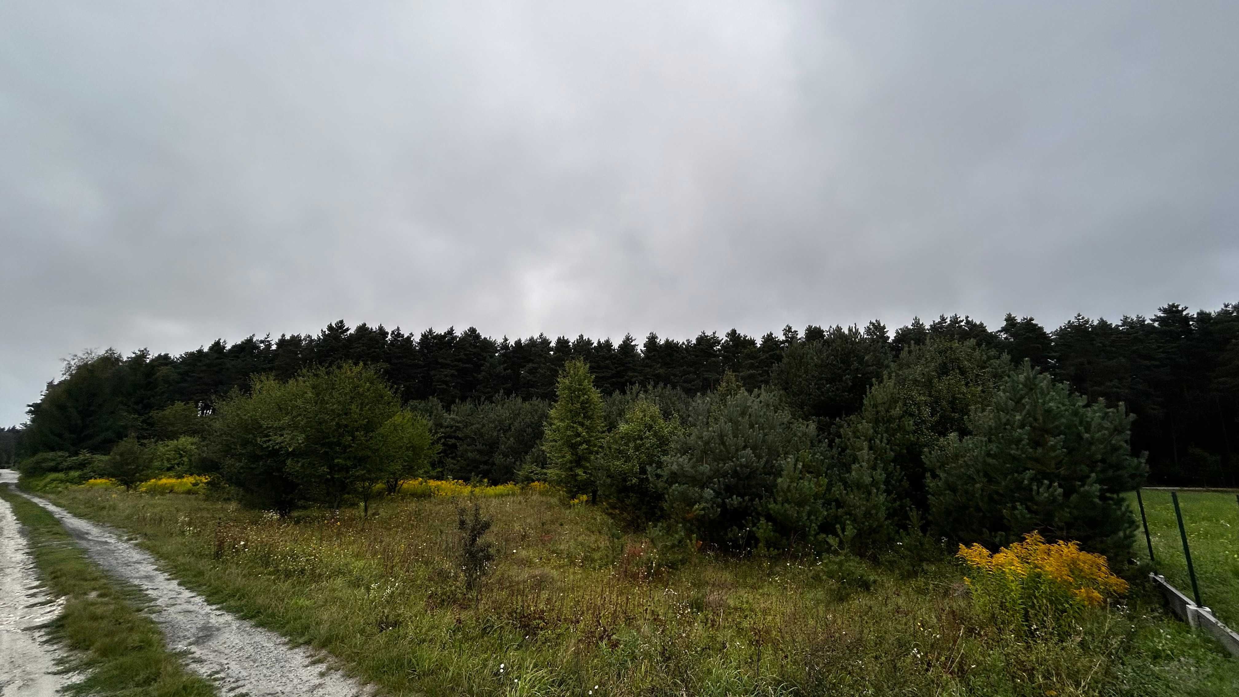 NOWA CENA -  Radków - Świętokrzyskie - Działka pod lasem