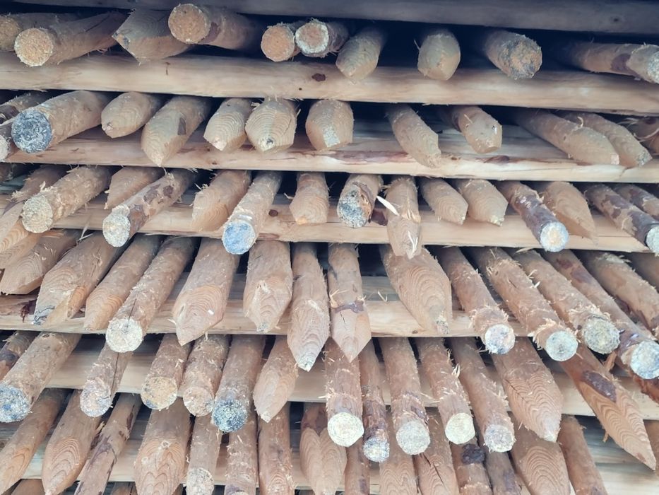 Sprzedam paliki do drzewek