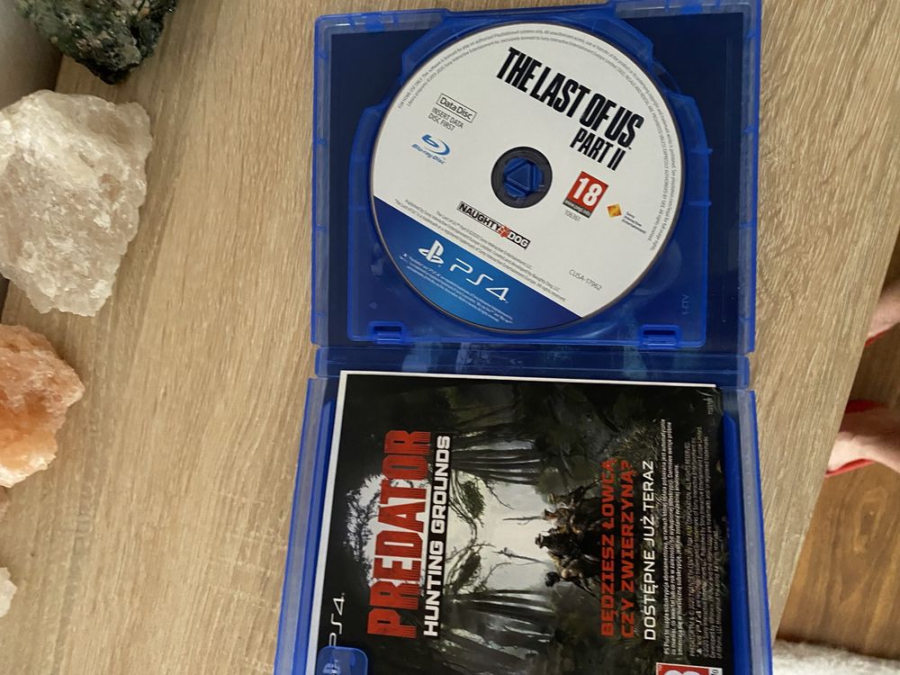 The last of us part 2 na ps4/ps5