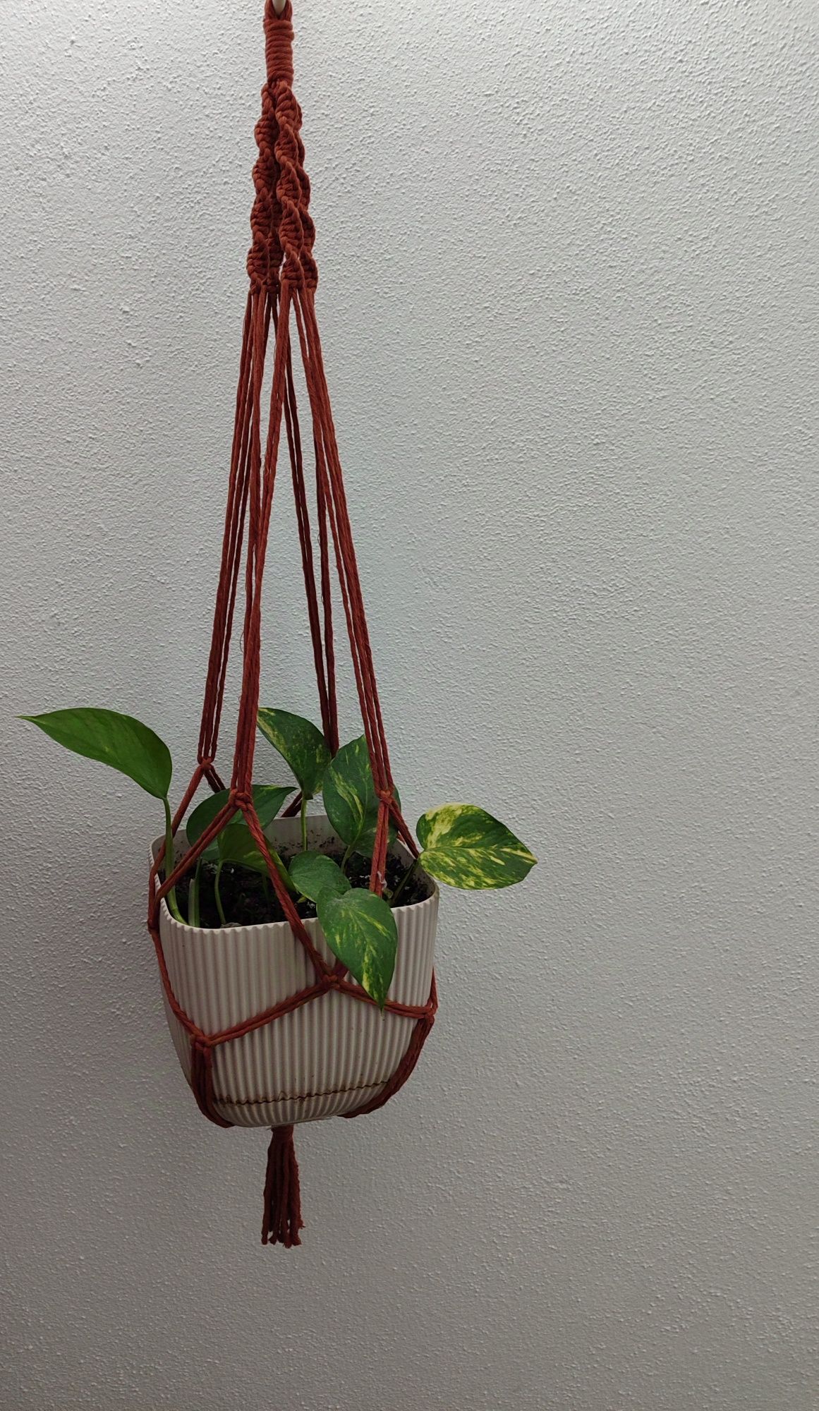 Suporte de plantas macramé