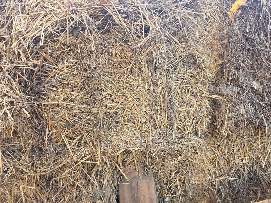 Oddam słomę  za darmo.