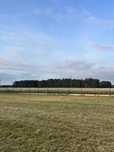 Działka Kowiesy 24 ary orgodzona