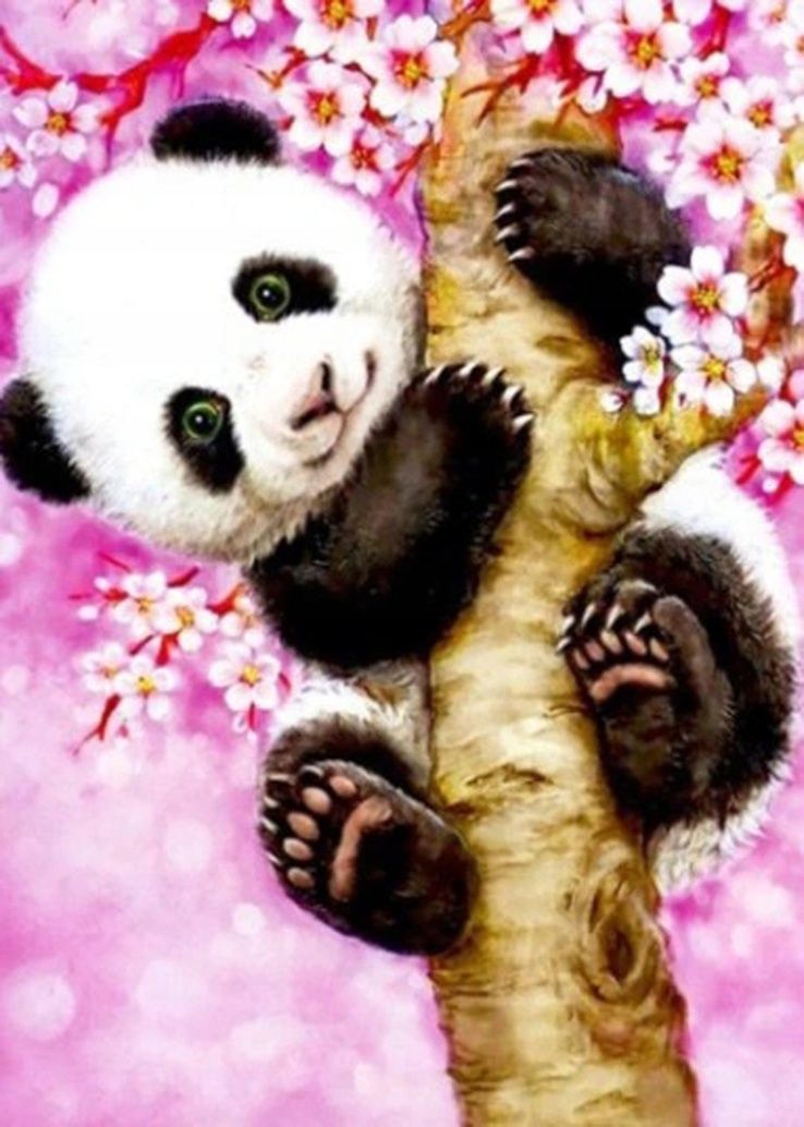 Malowanie po Numerach Panda na Drzewie Obraz z Ramą