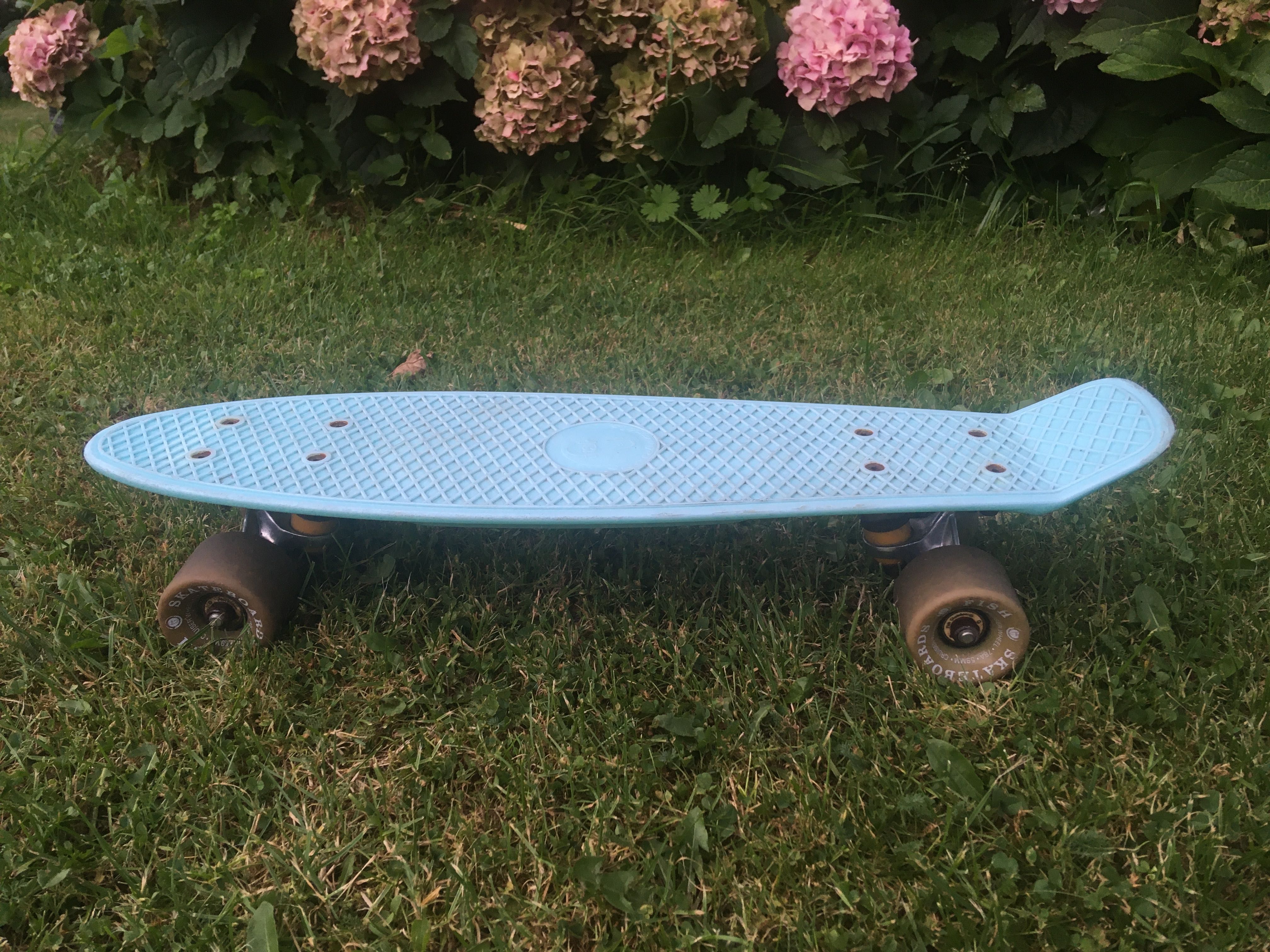 Deskorolka Fishboard