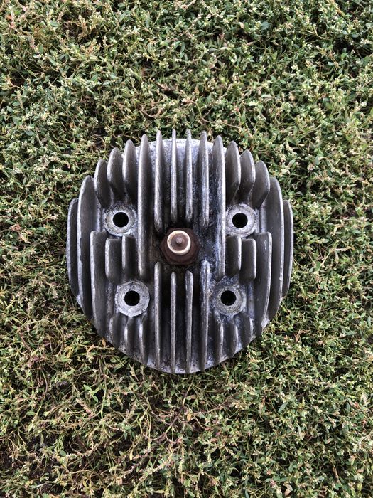 Крыло Ява старушка