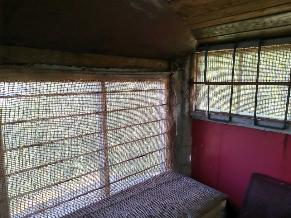 Дача, дом, садиба, земля с. Буки (Тетеревский массив), Житомир, Хозяин