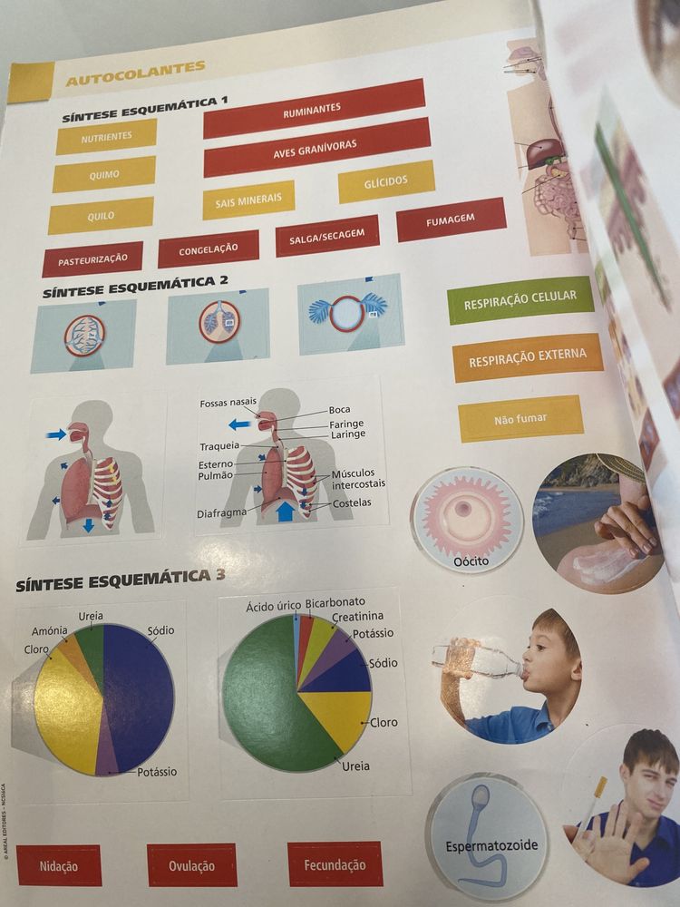 Caderno de atividades Ciências Naturais- CSL6°ano