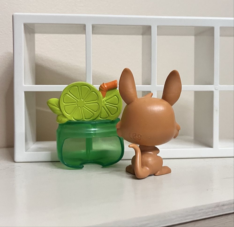 LPs kangaroo kangur kangurek z dodatkiem