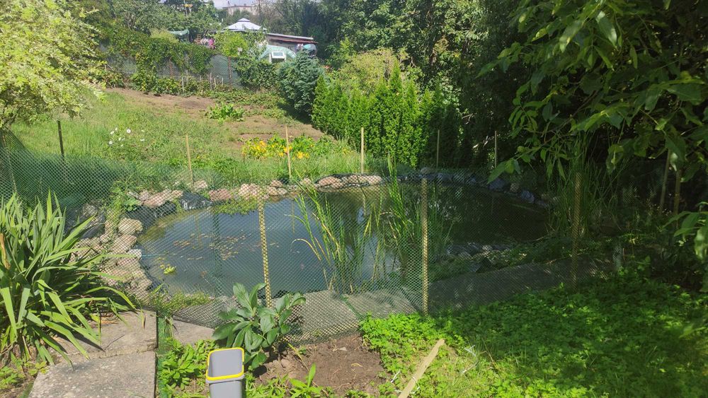 Działka rekreacyjna ROD Jedność