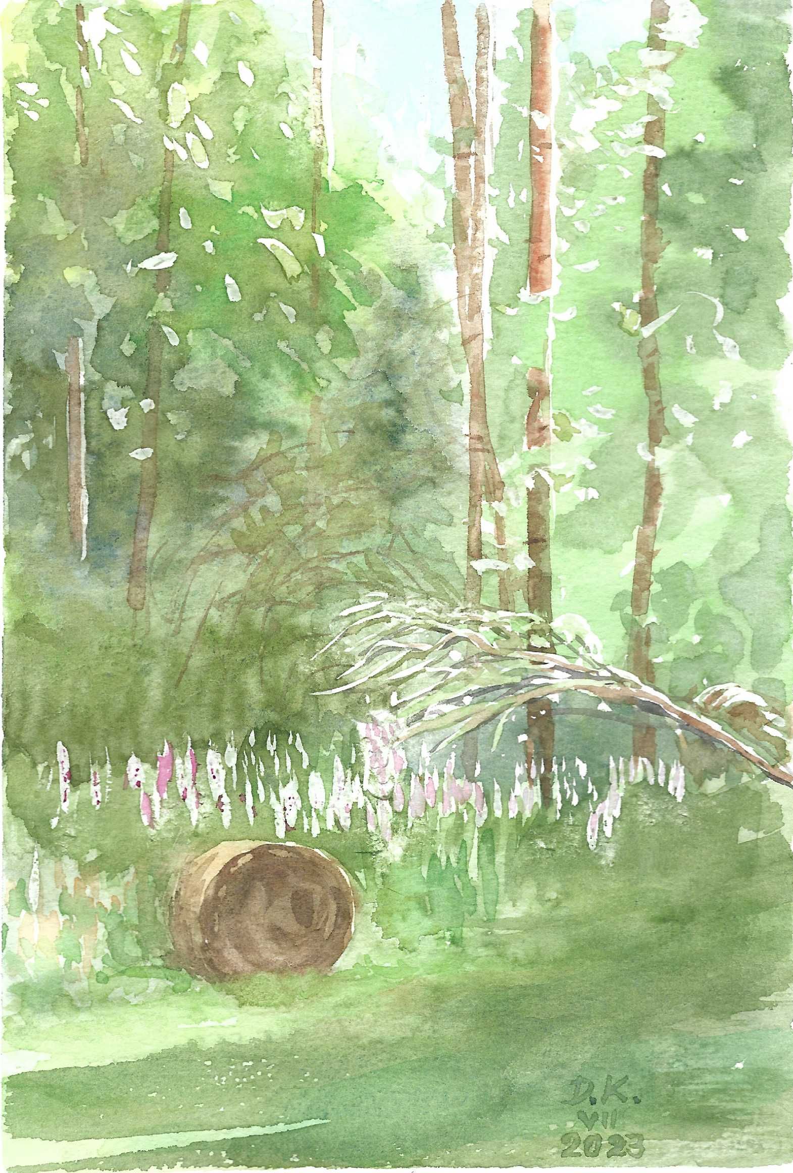 Obraz las - akwarela w białej ramce