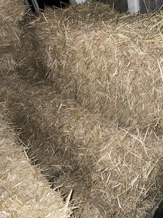Солома в  будку для собак, в тюках возможна доставка