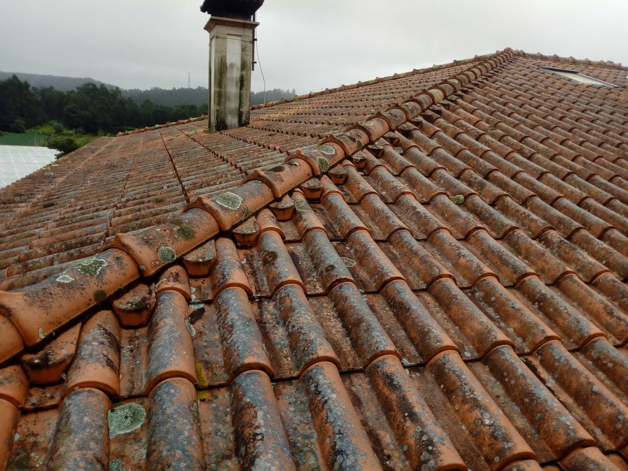 Limpeza de telhados, passeios e muros.