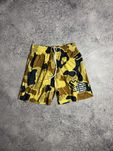 В УКРАЇНІ! Шорти Eric Emanuel camo drip sk8