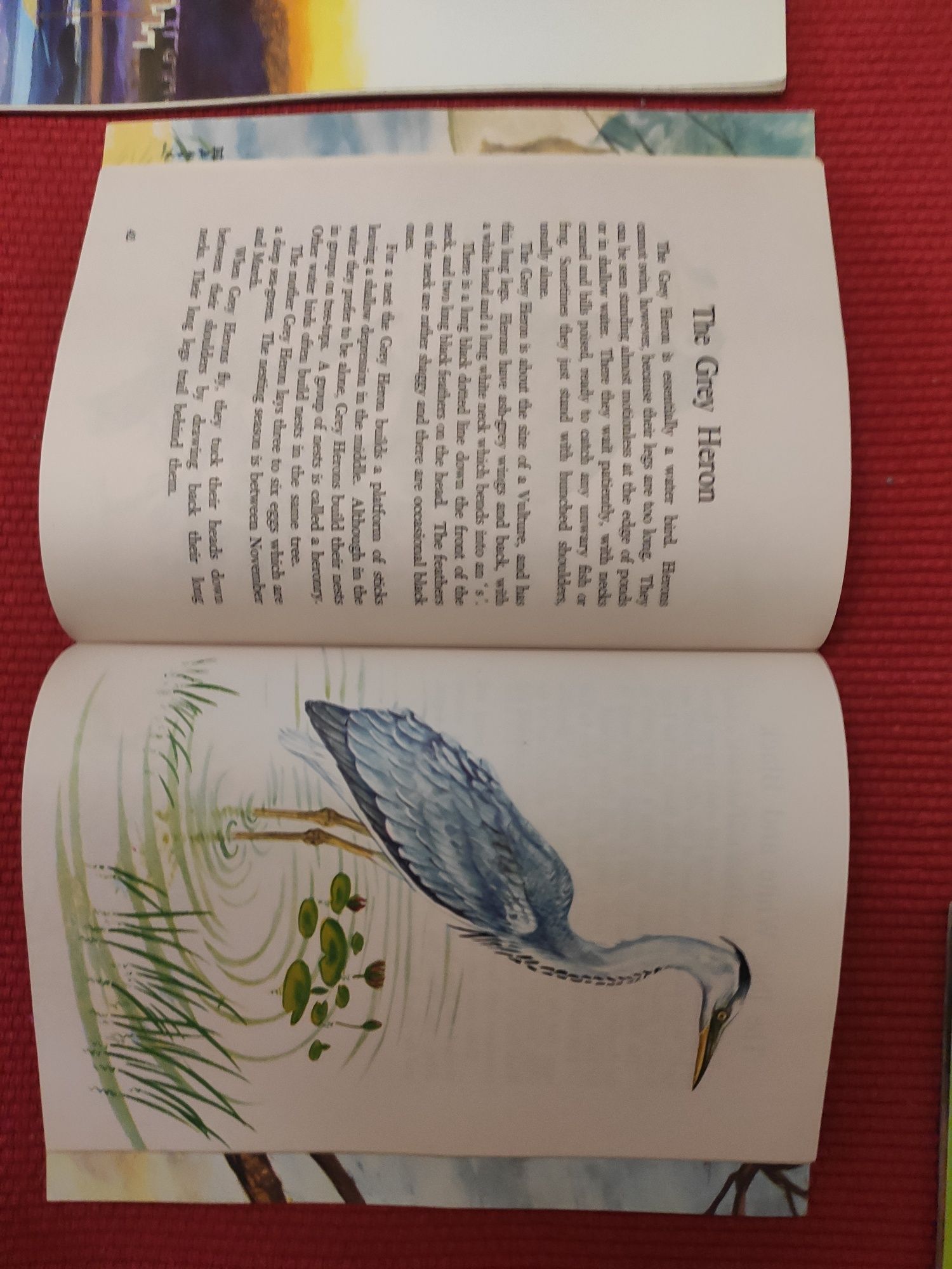 Детские редкие книги на английском языке  1976 - 80 года
