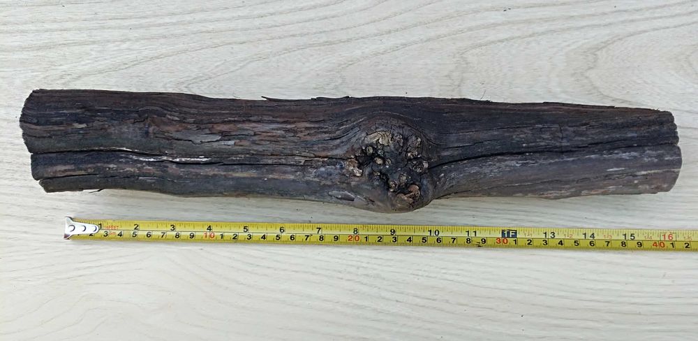 korzeń do terrarium winorośl gruby