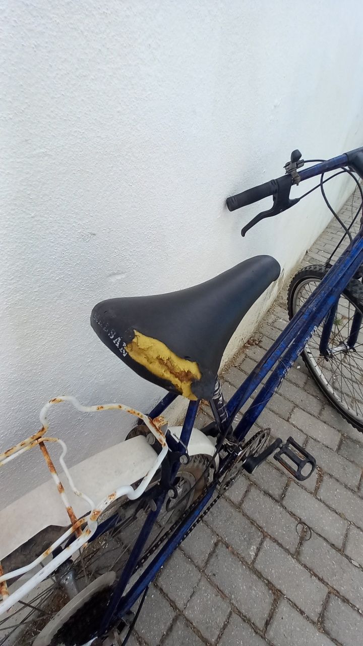 Bicicleta lialsan