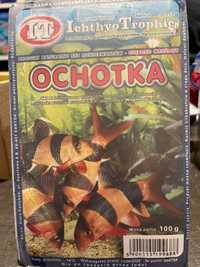 Ochotka mrożona 100g